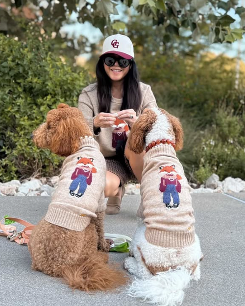 Foster the Fox Dog Sweater