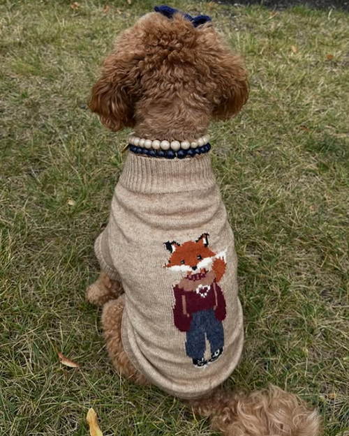 Foster the Fox Dog Sweater