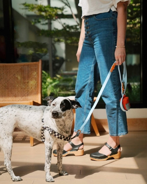 black and cream checkered dog harness