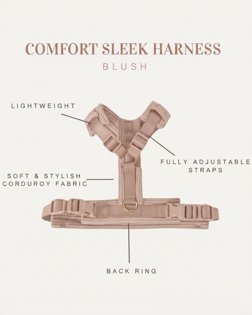 Sunday Stroll Blush Dog Harness