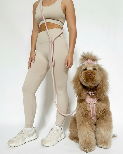Sunday Stroll Blush Dog Harness