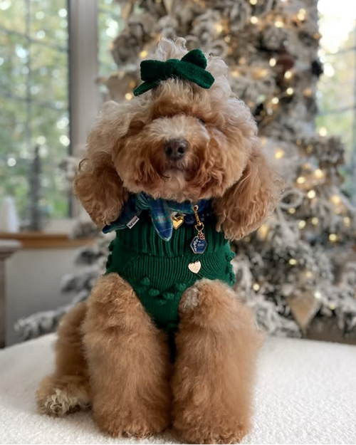 Little Darling Hair Bow in Green