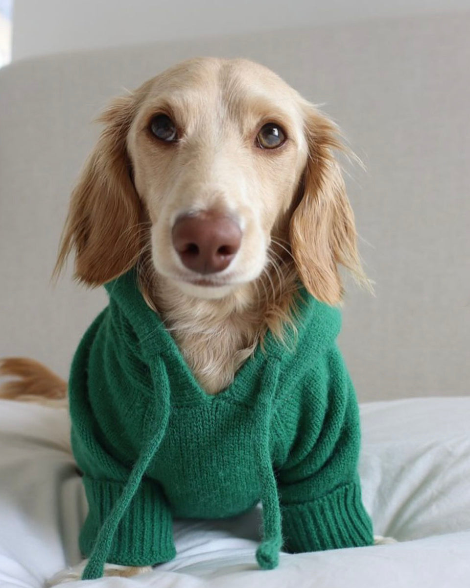 Venice Kelly Green Dog Hoodie Venice Kelly Green Dog Hoodie