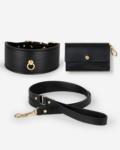 Roma Collar Black Leather Walk Kit