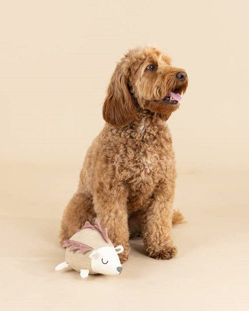 Forest Friend Hedgehog Dog Toy