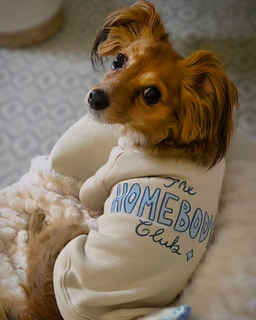The Homebody Club Dog Sweatshirt