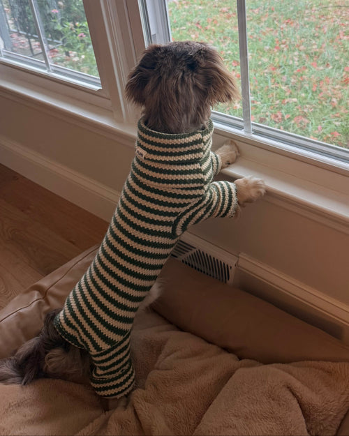 Charli Green + Ivory Dog Onesie