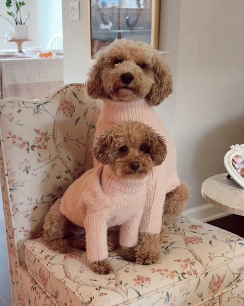 Bobbi Blush Eyelash Knit Dog Sweater