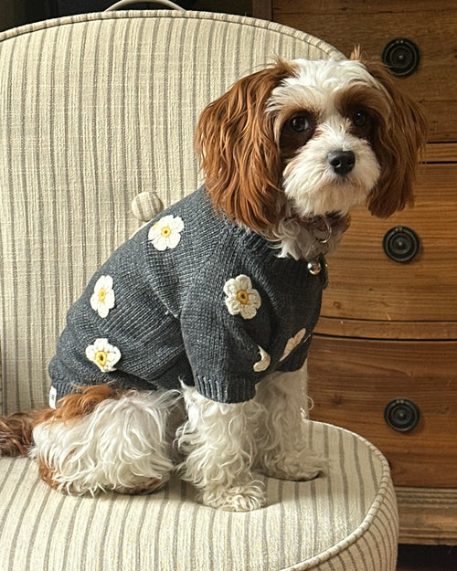 Petal Perfect Grey Daisy Dog Sweater