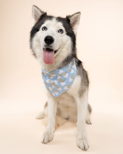 Sweet Tooth Blue Dog Bandana