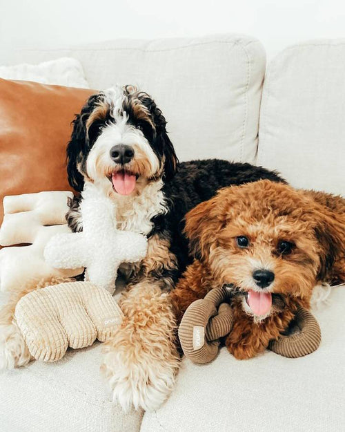 Cross My Heart Boucle Toy