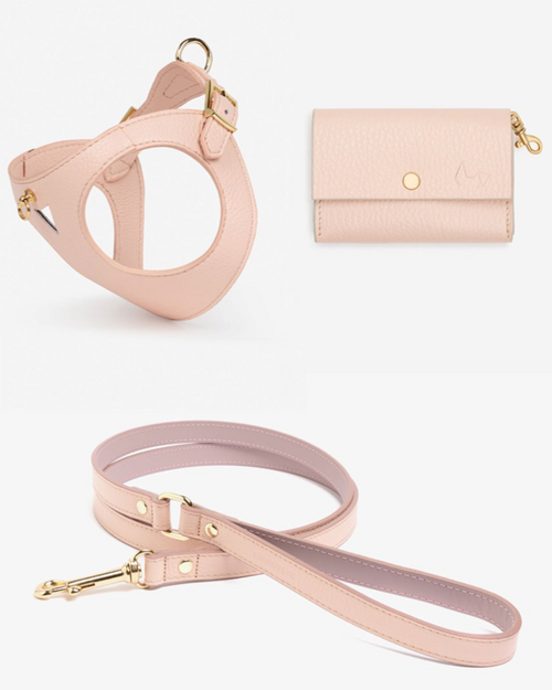 Luca light pink leather dog harness and leash kit, soft color and premium leather for small and toy dogs’ comfortable walks