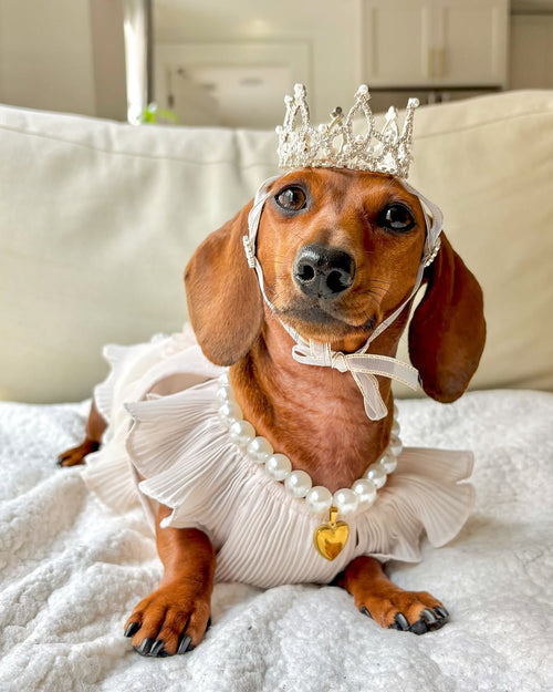 Love Story Petal Pink Pleated Chiffon Dress