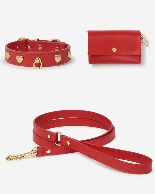 Red collar walk kit featuring leash and bag holder, perfect for energetic breeds like Jack Russells and Miniature Bull Terriers