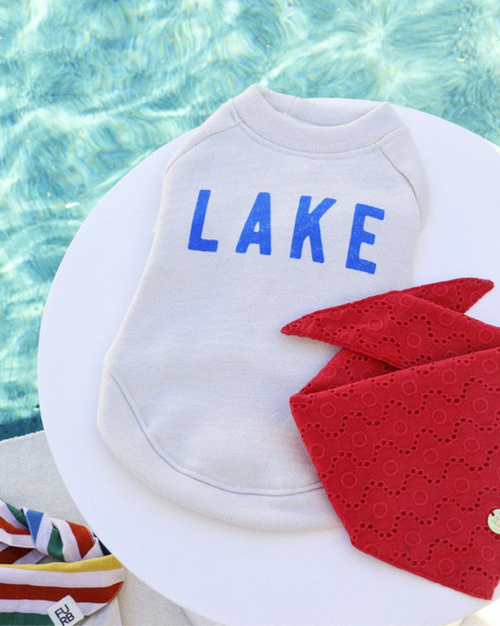 Lake Day Dog Sweatshirt best clothes for french bulldogs