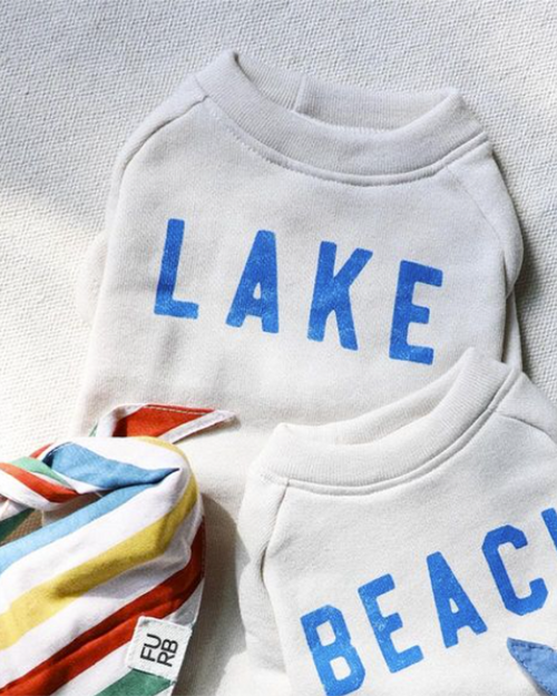 Lake Day Dog Sweatshirt beagle with clothes