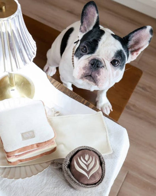 Latte Dog Toy