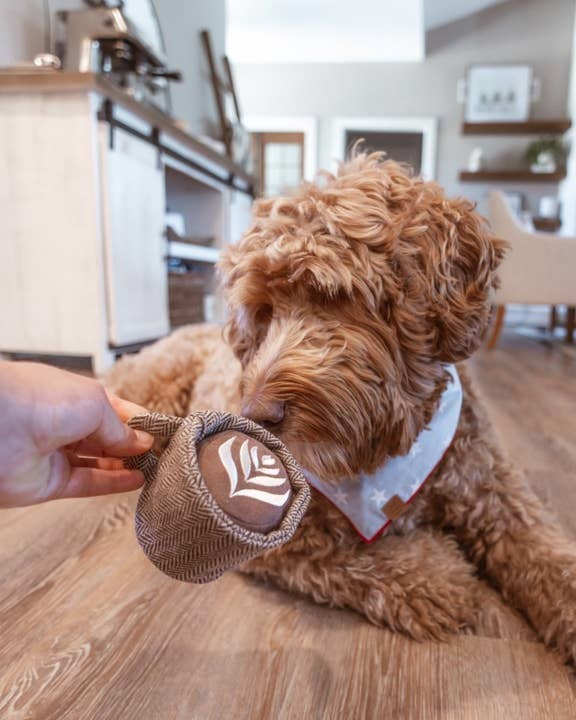 Latte Dog Toy