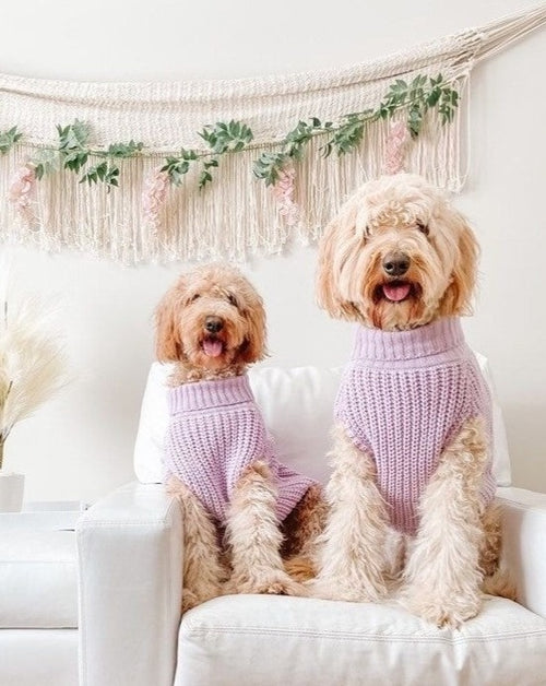 Lilac Turtleneck Dog Sweater. pug sweater for women 