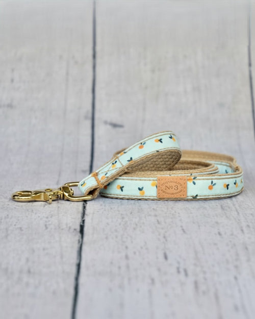 Sunny Stroll Clementine Dog Leash