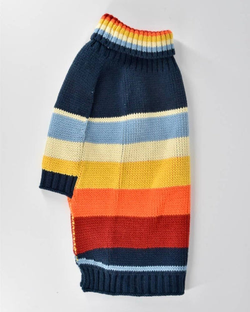 Strike a Pose Knit Dog Sweater