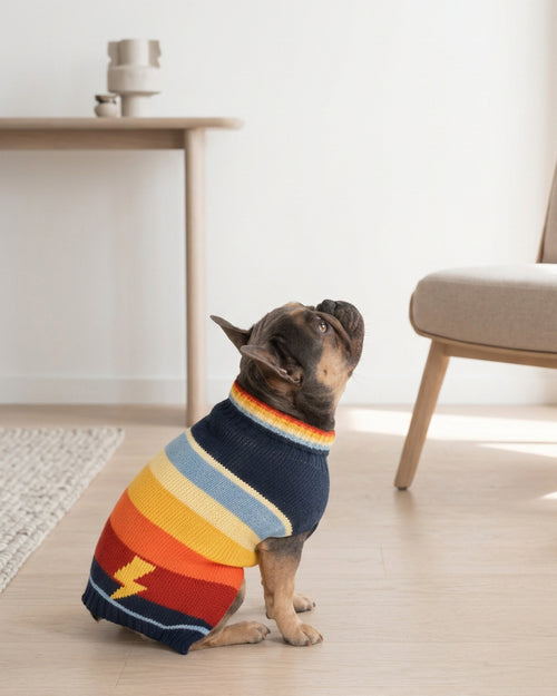 Strike a Pose Knit Dog Sweater