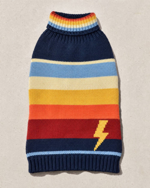 Strike a Pose Knit Dog Sweater