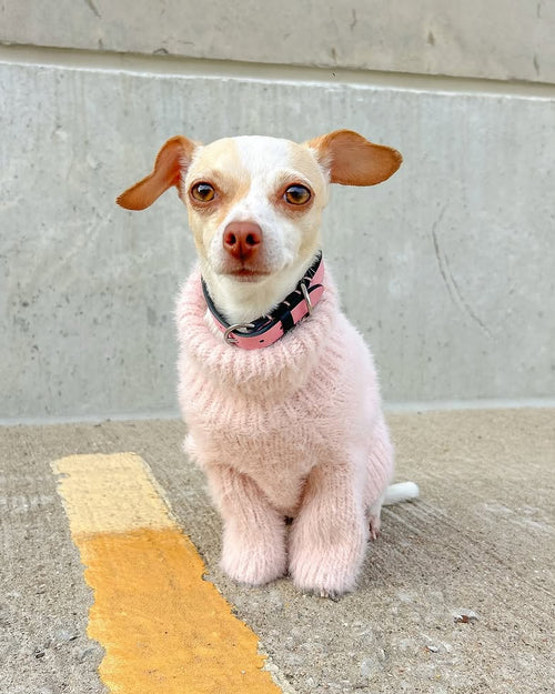 Bobbi Blush Eyelash Knit Dog Sweater