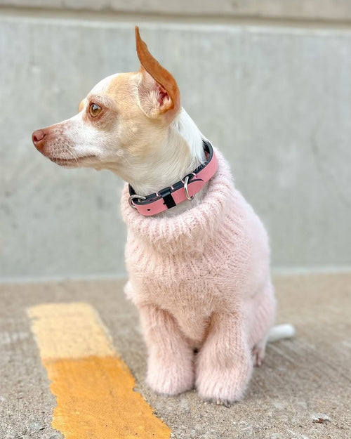 Bobbi Blush Eyelash Knit Dog Sweater