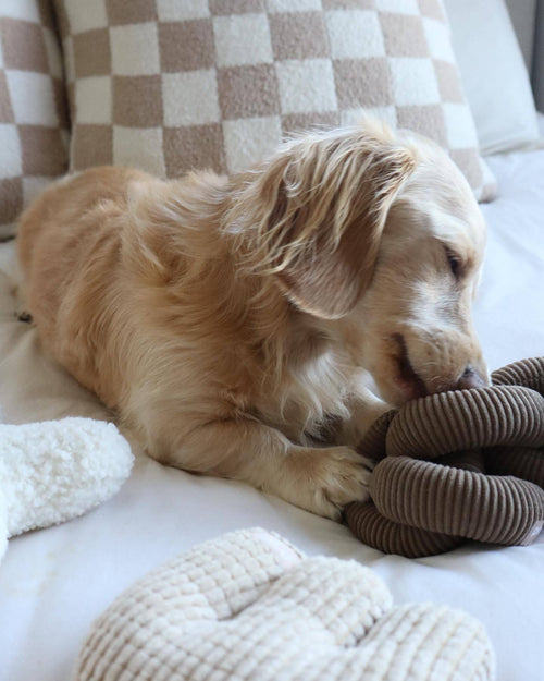 Link Up Brown Plush Toy