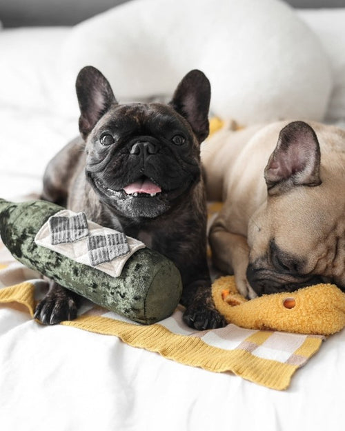 Wine Not Merlot Dog Toy