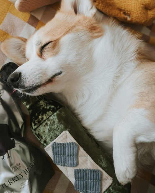 Wine Not Merlot Dog Toy