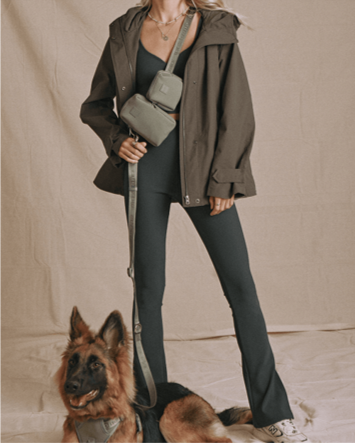 sage green nylon dog leash by maxbone with silver metal hardware and coordinate sage green plastic buckle