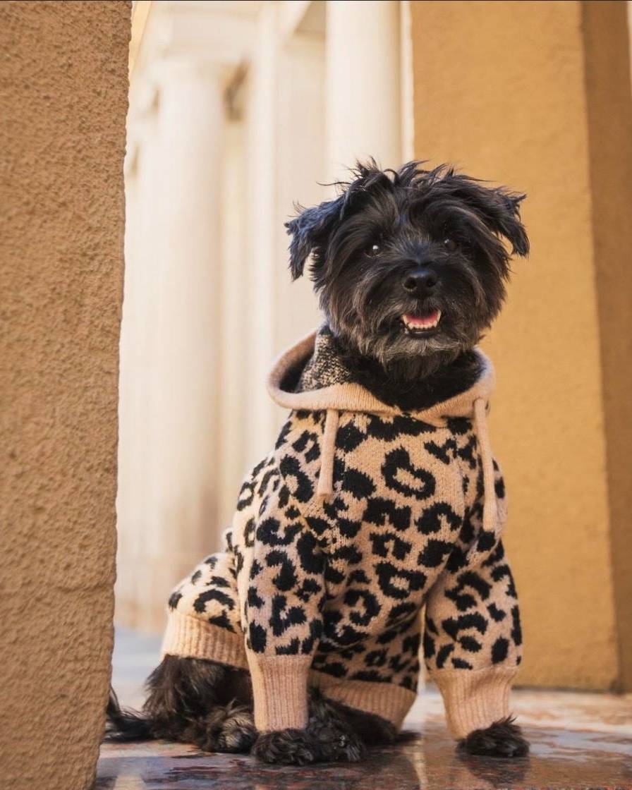 Dog Hoodie Sweater in Leopard Cozy Fabric and Fit – FURB