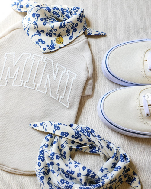 Mini Me Dog Sweatshirt black pug clothing