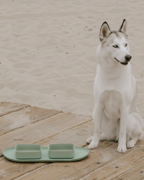 Hip To Be Square Dog Bowl + Mat Set, Green