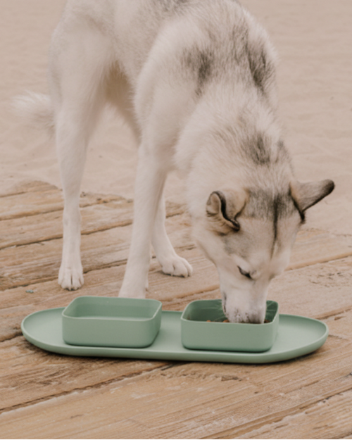 Hip To Be Square Dog Bowl + Mat Set, Green