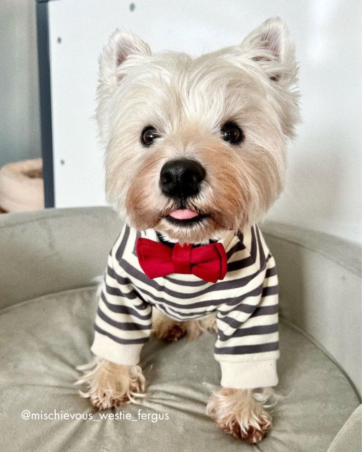 Walk of the Town Ruby Bow Tie