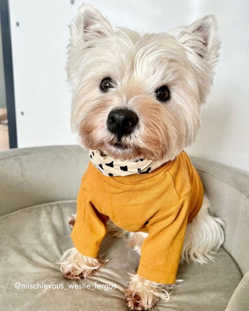 Halifax Goldenrod Ribbed Turtleneck Product Image Detail