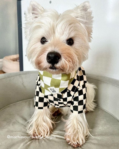 Make a Move Green Check Bandana Image