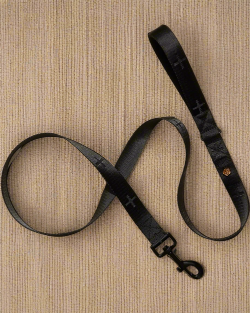 Le Luxe Dog Leash in Neo