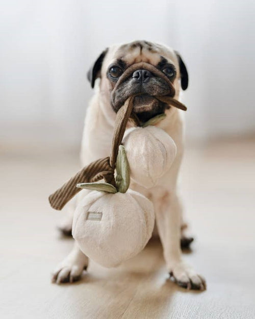 Peachy Keen Plush Dog Toy with two peaches, perfect for interactive play and tasty treats.