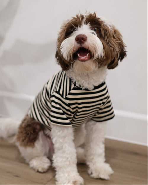 Playful Pooch Black + Ivory Striped Dog T-Shirt