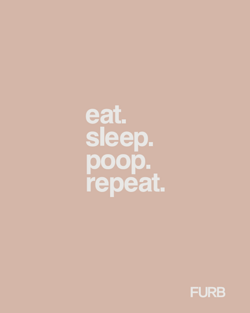 FURB Poop Bags - Variety Packs