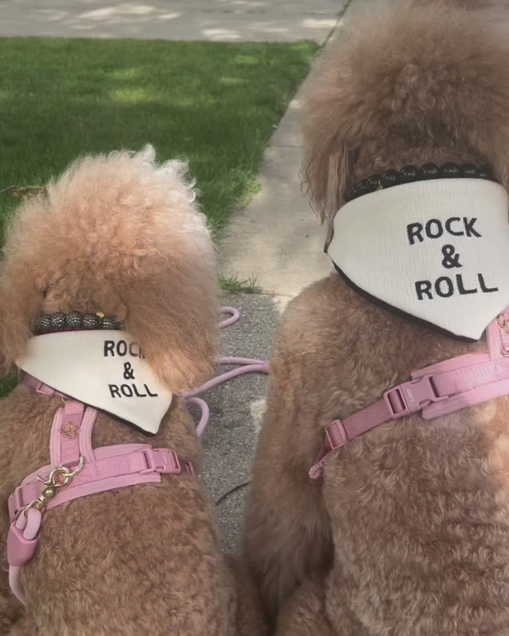 Reversible Rock & Roll Dog Bandana – FURB