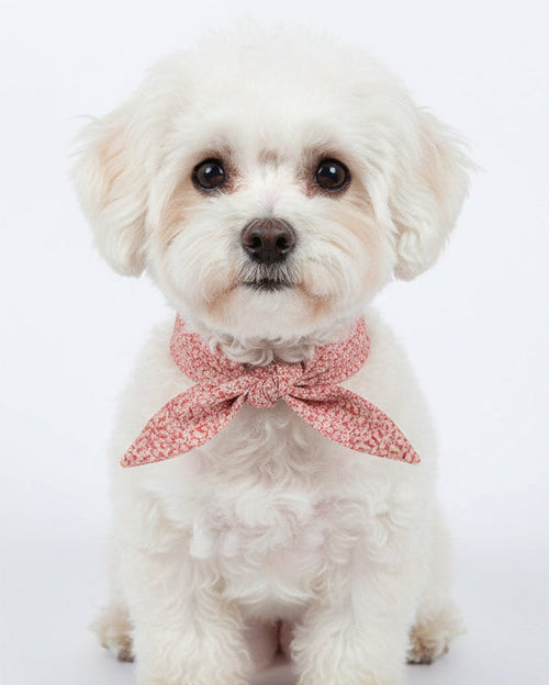 Wildflower Pink Floral Necktie