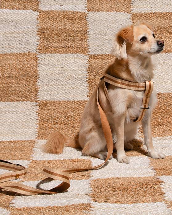 Le Classic Dog Harness de Rivoli