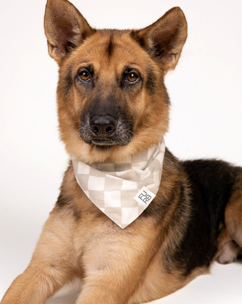 Tan and white checkered dog bandana, a stylish accessory for your pet’s casual wardrobe.