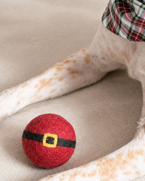 Nice List Santa Wool Dog Toy