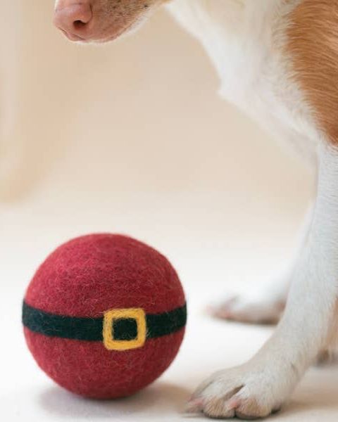 Nice List Santa Wool Dog Toy